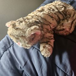 Stuffed Cat That Helps Relive Anxiety