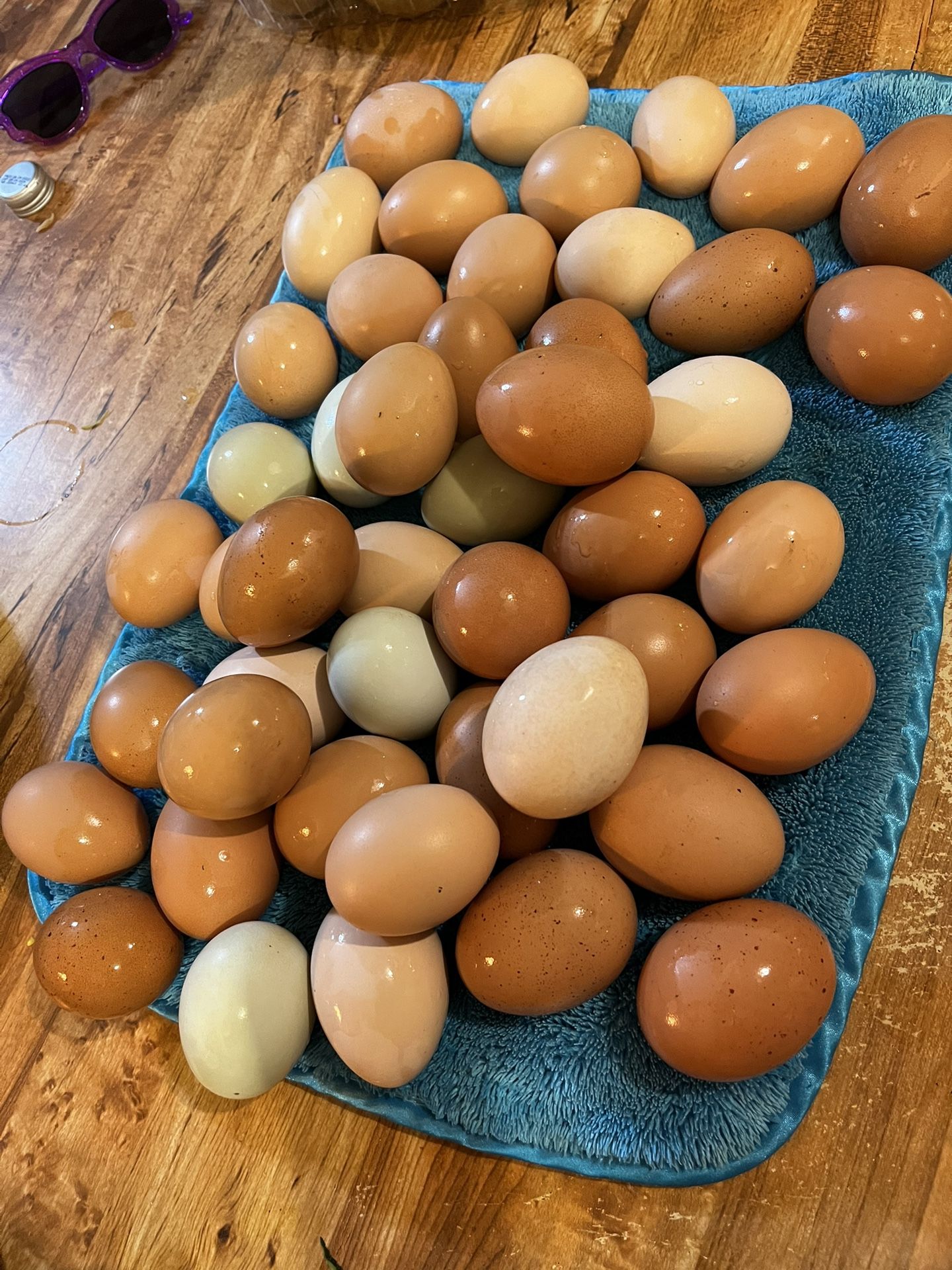 Eggs And Chickens 