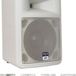 Peavey Speakers (2) $300 For the set