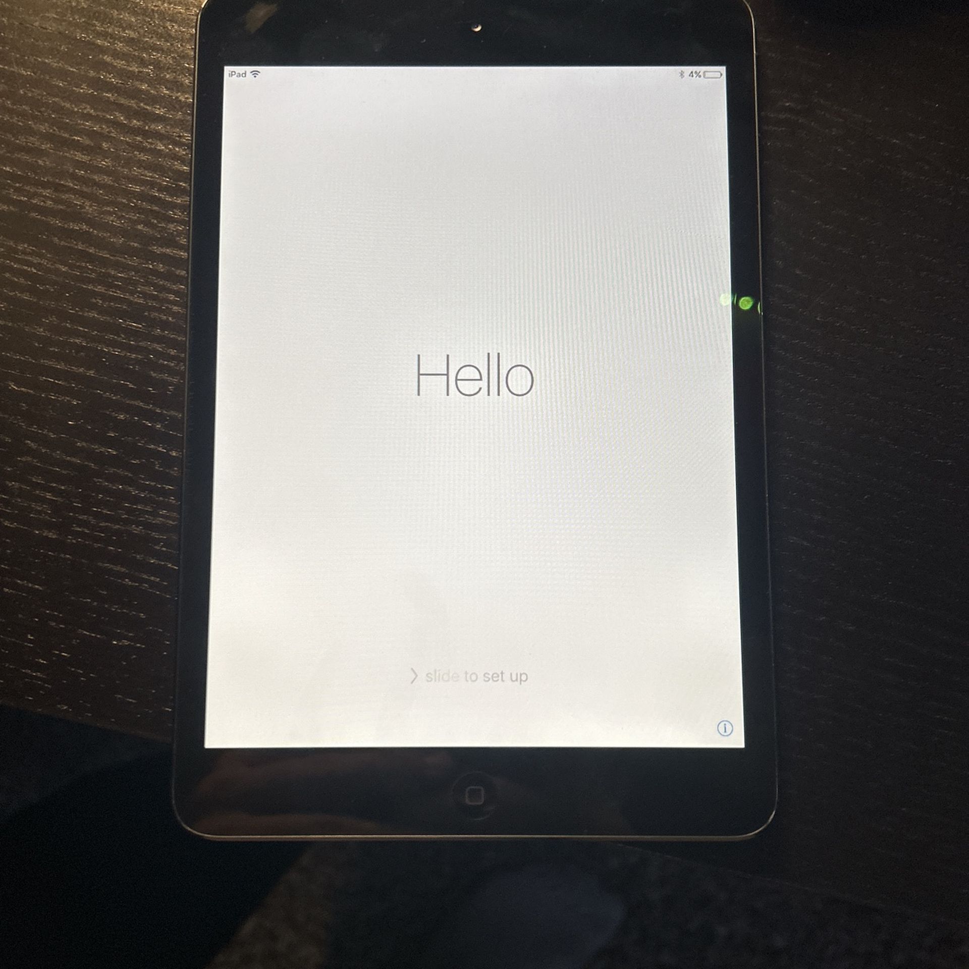 iPad Mini