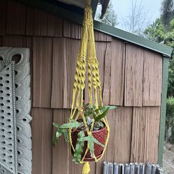 Plant Hanger 