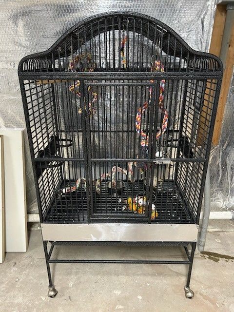 Bird Cage