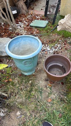 Large planting pots