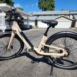 750W Electric Bike