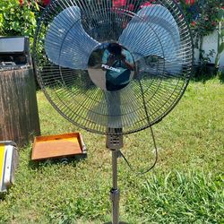 Black fan Pelonis powerful