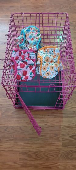 Female Puppy Supplies