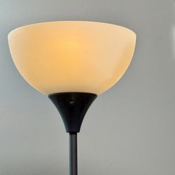 Dining room , living room, bedroom or office lamp works great