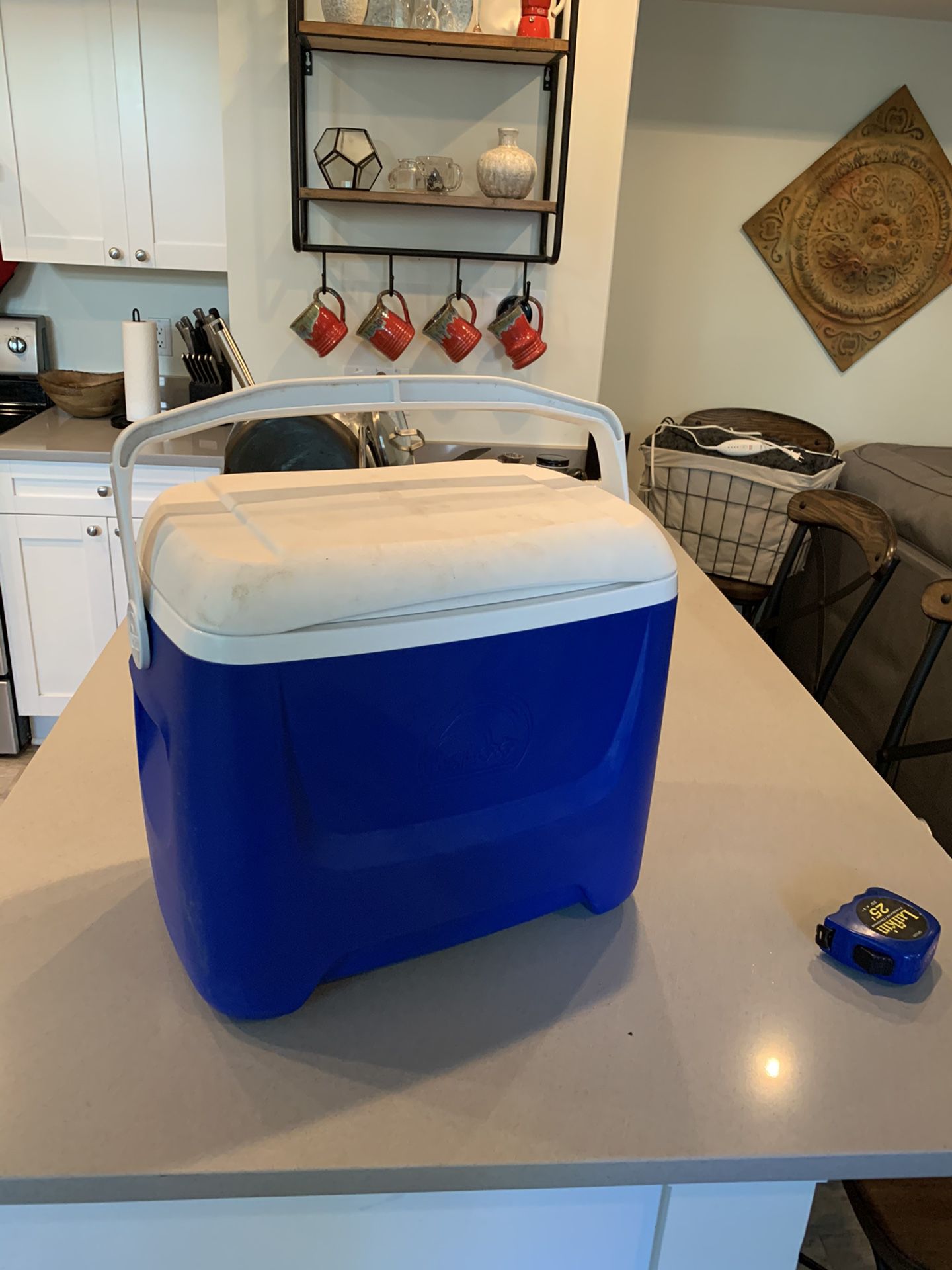 Igloo 28 QT cooler with handle