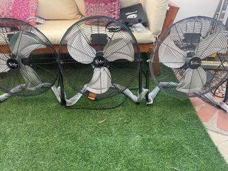 Fans