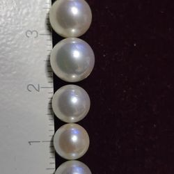 Genuine Akoya Pearls (Loose)