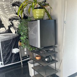 fridge