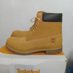 Timberland Premium Men Size 13 NEW W/box