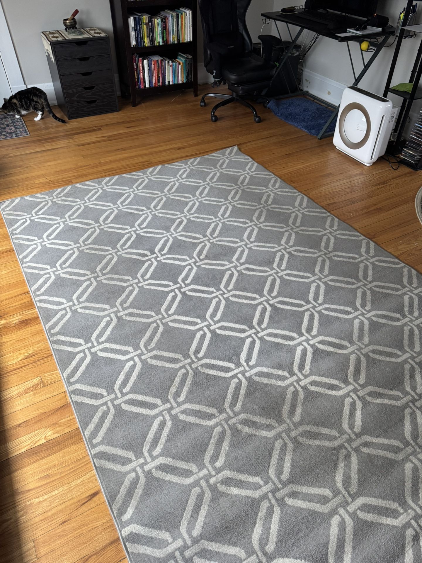 Modern Rug (6x9ft)