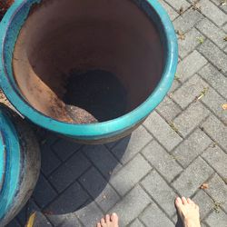 Huge planters..ceramic over terra cotta