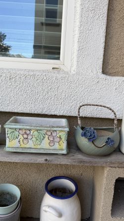 Succulent plants pots×2