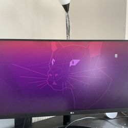 LG Monitor Ultrawide 34WP500B