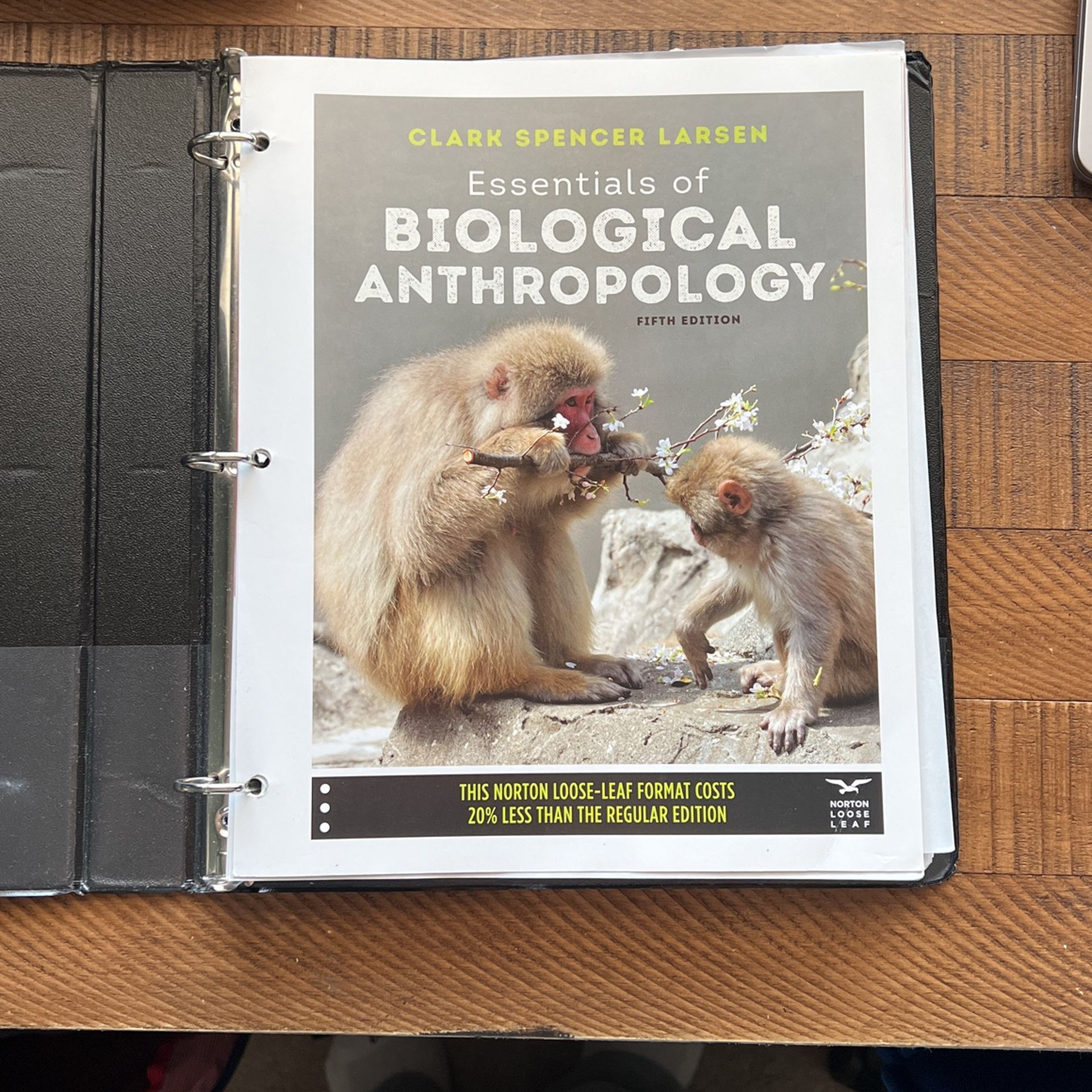 Essentials Of Biological Anthropology By Clark Spencer Larsen Fifth Edition 