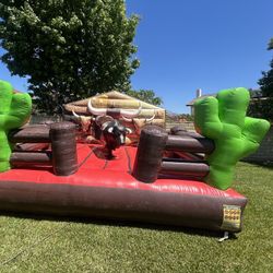 Mechanical Bull