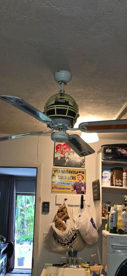 Miami Dolphins Ceiling Fan
