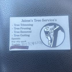 Trees Service 
