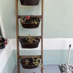 Planter With Cactus