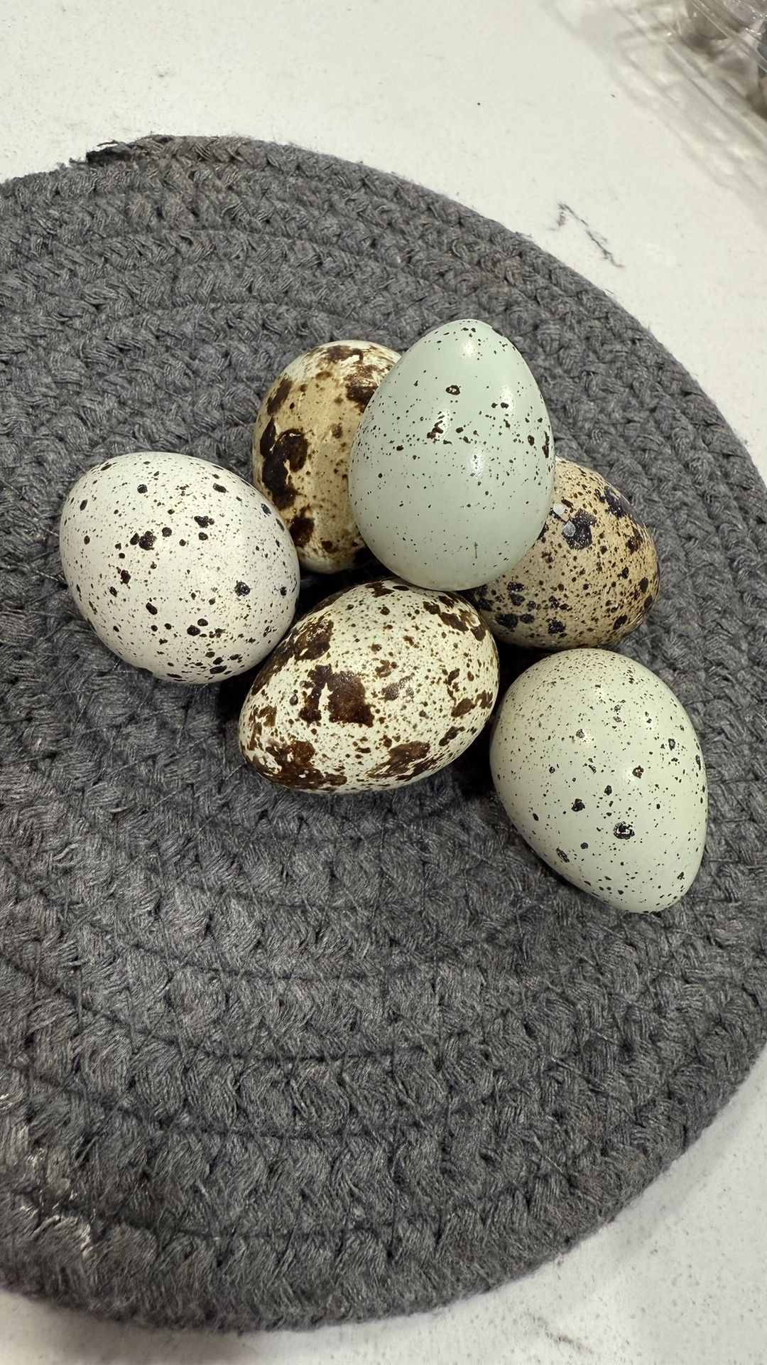 Quail Eggs