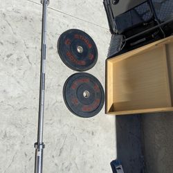 Barbell With 25 Lb Rubber Weights