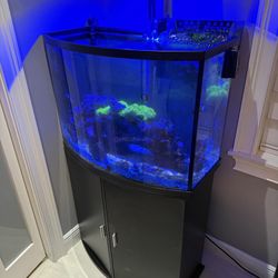 Fish Tank 36 Gallon 