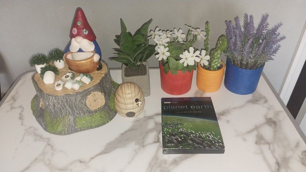 Nature Decor Set/Movie