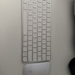 Apple Keyboard & Mouse 
