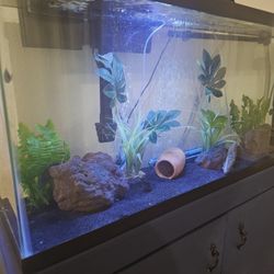 55 Fish Tank And Stand
