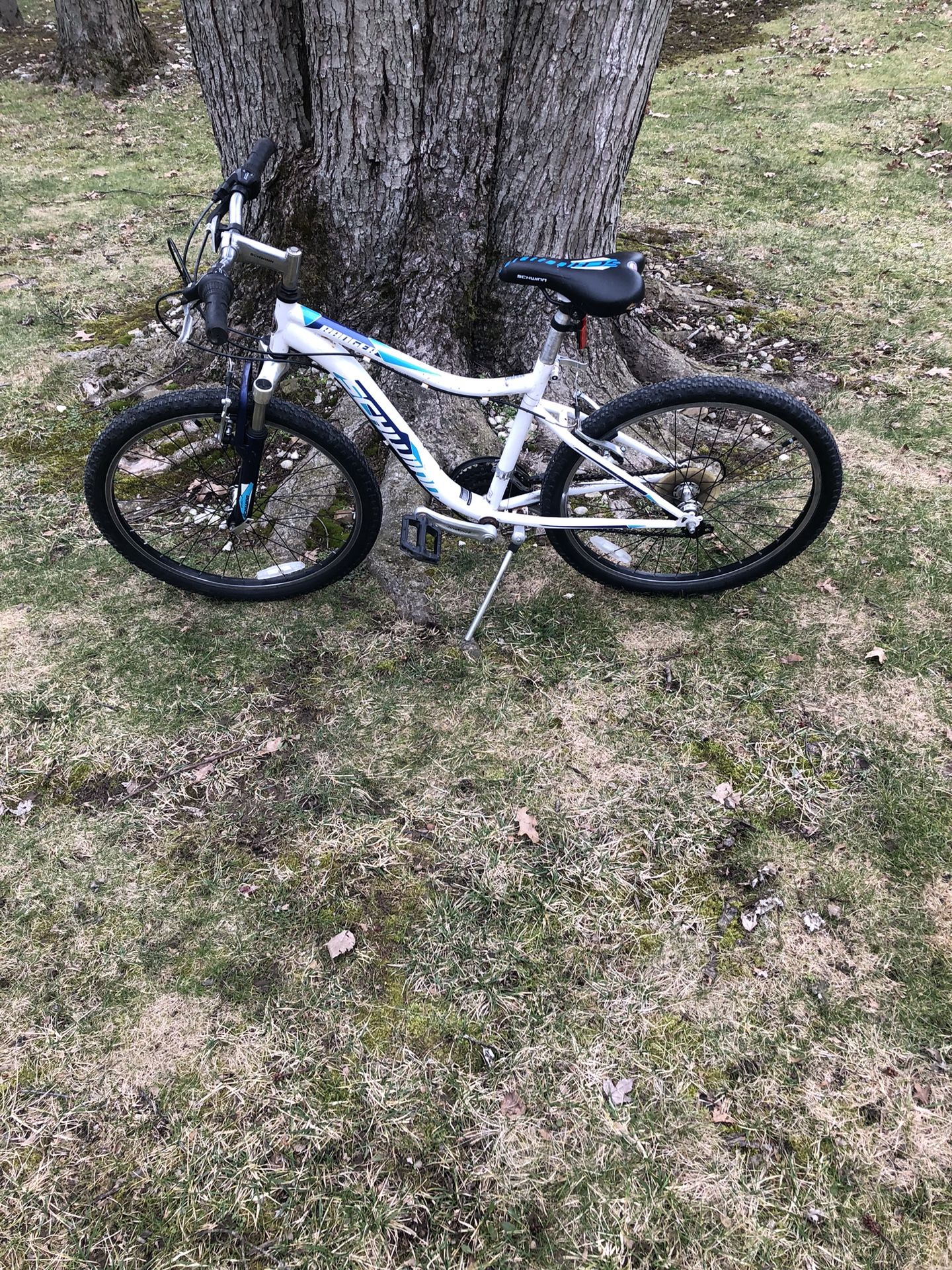 24” Schwinn Mountain Bike