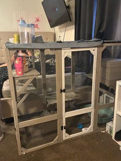 Catio for cats