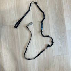 Dog Leash 