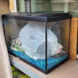 Fish Tank 