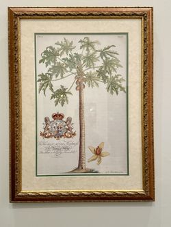 Large Framed Botanical Print – Antique Style – Gilt Wood Frame