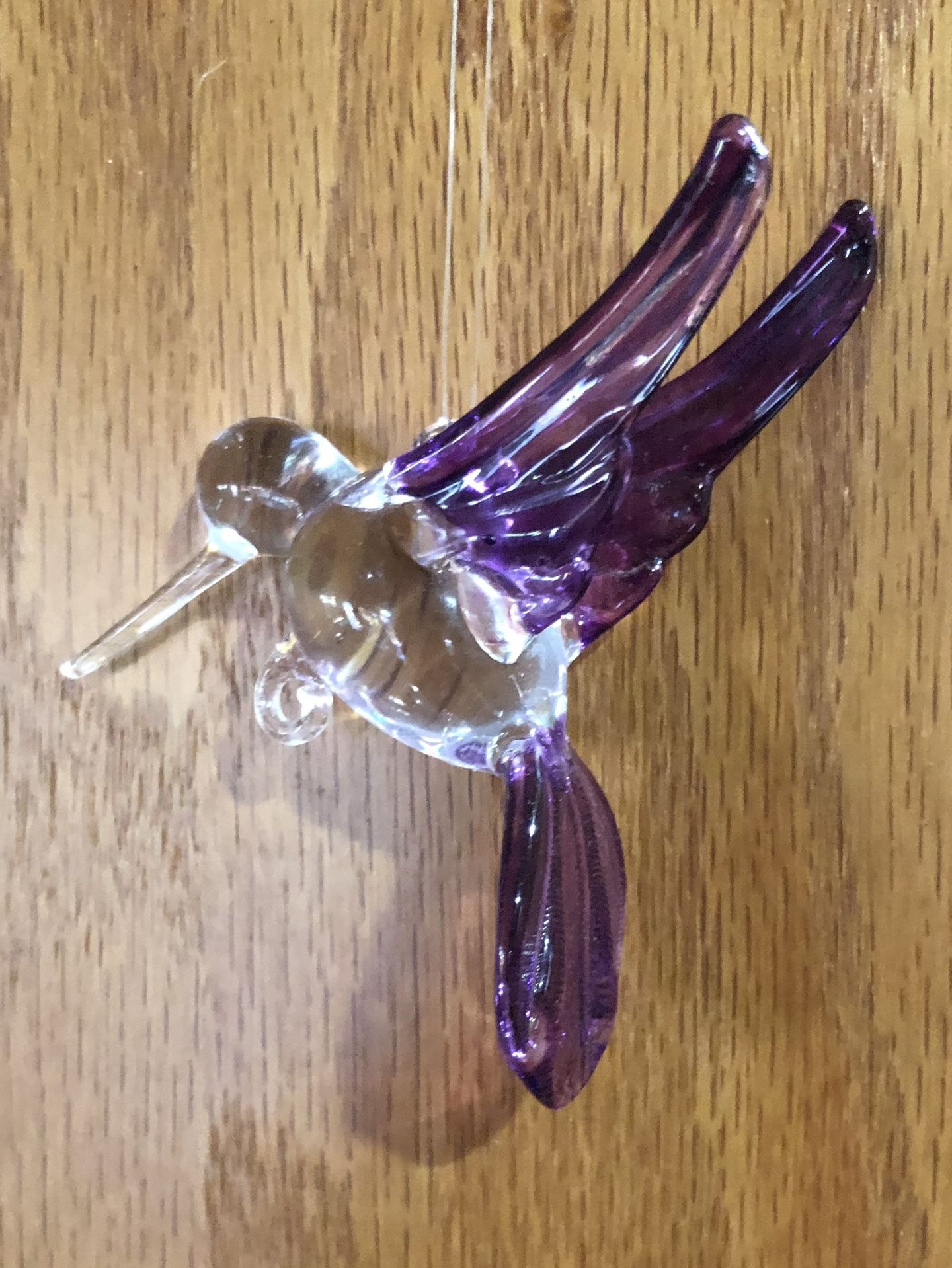 Purple Glass Hummingbird