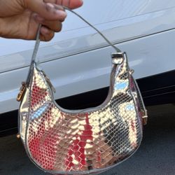 Silver purse