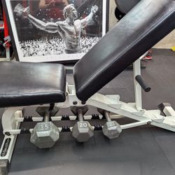 Heavy Nautilus Bench With Dumbbell Rack Underneath
