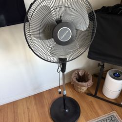Standing fan
