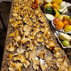 Fresh Chanterelles 