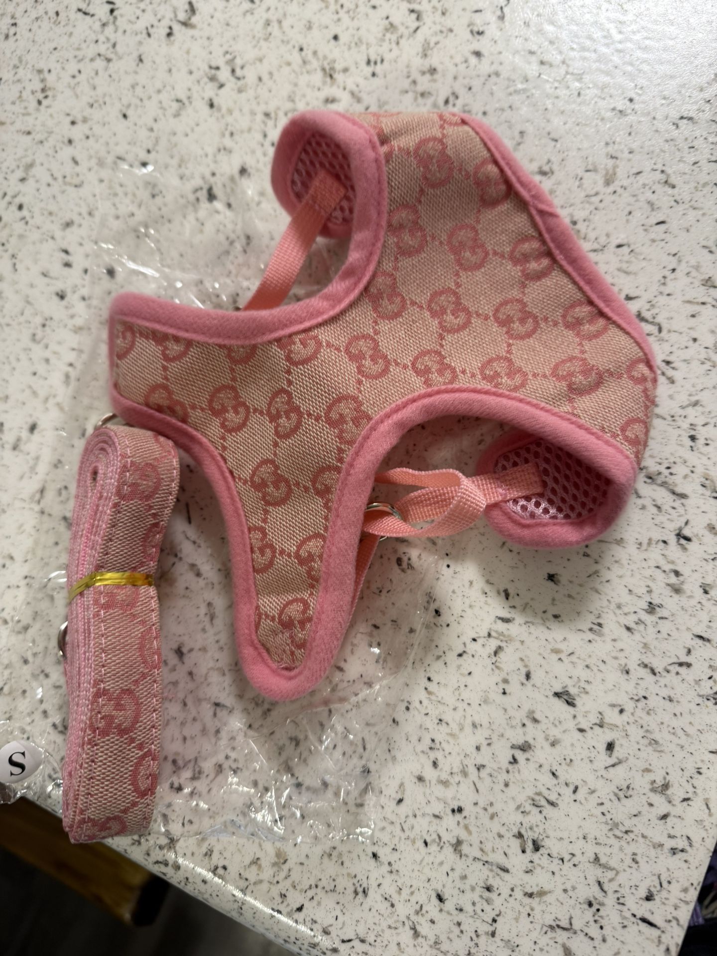 Leash And Harness