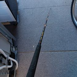 Eagle Claw Sea Eagle EC665-C Fishing Pole
