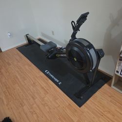 Concept2 RowERG Rowing Machine (Model D)