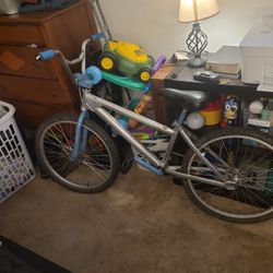 24 Inch Cruiser Powerlite