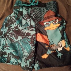 Swimming Trunks 