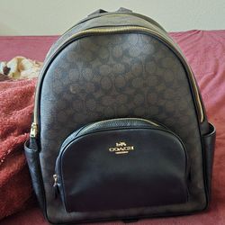 Coach Backpack 
