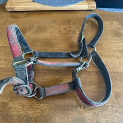 2 Horse Halters 