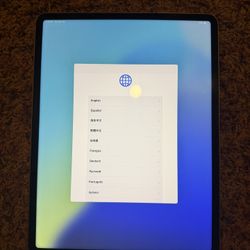 iPad Pro 12.9 Inch (6th Generation- 1 TB)