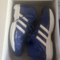Adidas Pro model 2G 